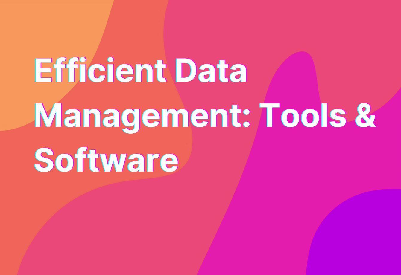 Efficient Data Management Tools Software RemoteTeamer